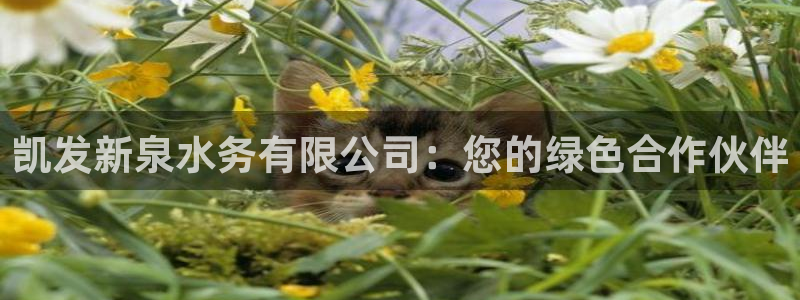 娱乐门徒：凯发新泉水务有限公司：您的绿色合作伙伴