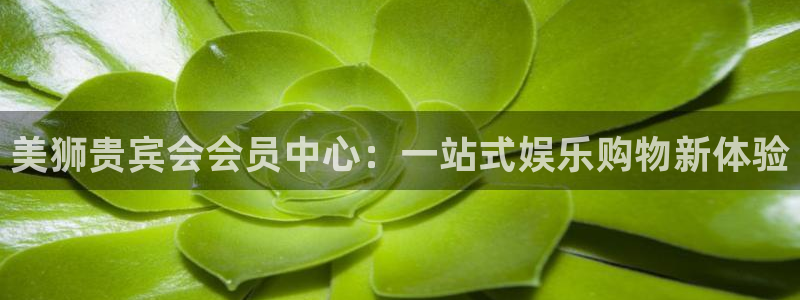 门徒登录：美狮贵宾会会员中心：一站式娱乐购物新体验
