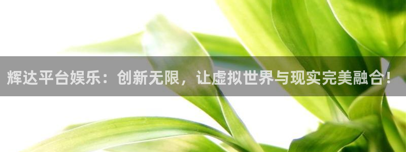 门徒网站：辉达平台娱乐：创新无限，让虚拟世界与现实完美融合！