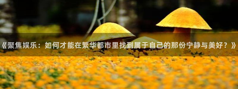 门徒平台注册中心：《聚焦娱乐：如何才能在繁华都市里找到属于自己的那份宁静与美好？》
