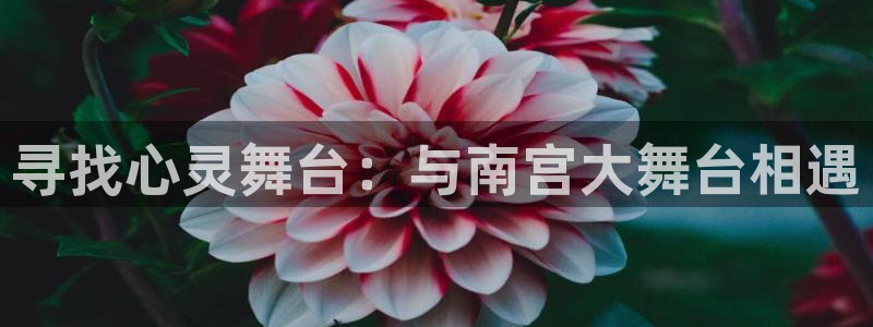 壹号大舞台28国际大舞台：寻找心灵舞台：与南宫大舞台相遇