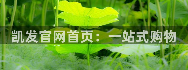 门徒娱乐 - ng大舞台,有梦你就来：凯发官网首页：一站式购物