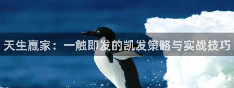 门徒娱乐平台链接：天生赢家：一触即发的凯发策略与实战技巧
