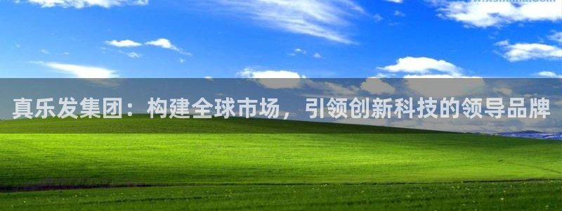 门徒娱乐下载入口：真乐发集团：构建全球市场，引领创新科技的领导品牌