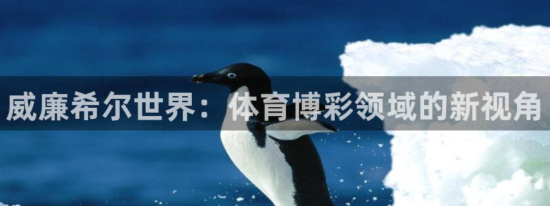 门徒无限内购版免登录：威廉希尔世界：体育博彩领域的新视角