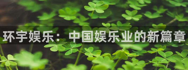 门徒娱乐下载二维码：环宇娱乐：中国娱乐业的新篇章