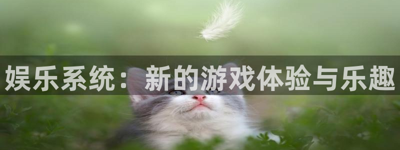 门徒娱乐是赌博吗：娱乐系统：新的游戏体验与乐趣