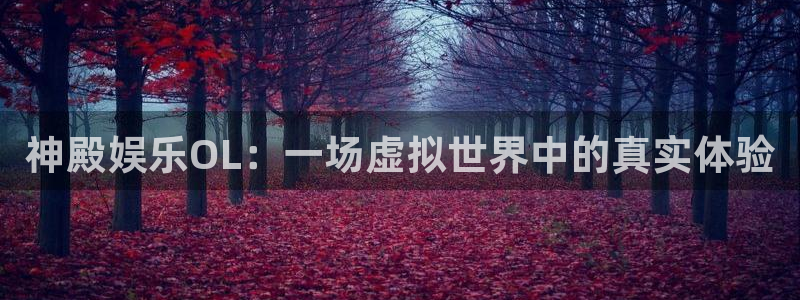 壹号app下载链接：神殿娱乐OL：一场虚拟世界中的真实体验