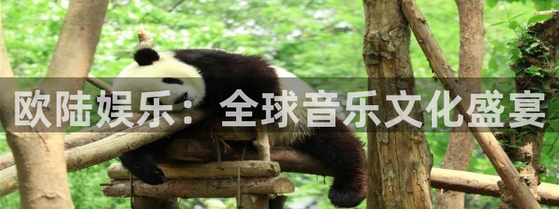 门徒娱乐平台官网登录入口：欧陆娱乐：全球音乐文化盛宴