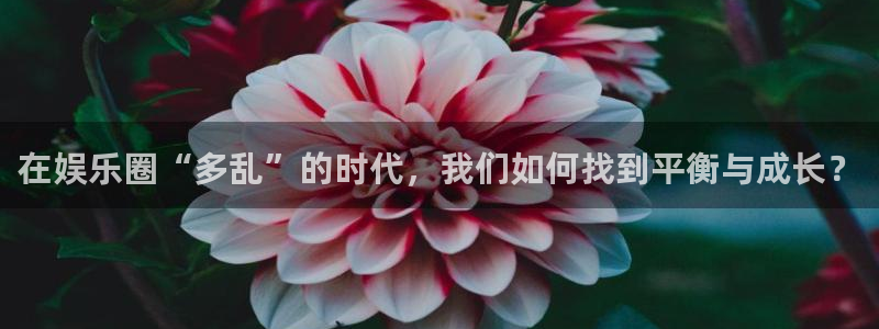 壹号top娱乐：在娱乐圈“多乱”的时代，我们如何找到平衡与成长？