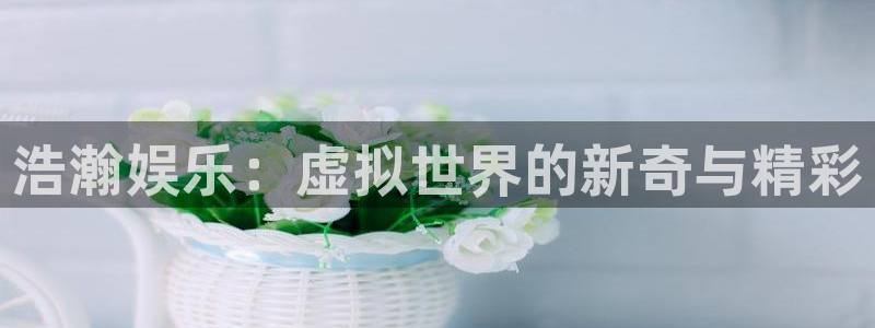 门徒娱乐ccm赏金女王：浩瀚娱乐：虚拟世界的新奇与精彩