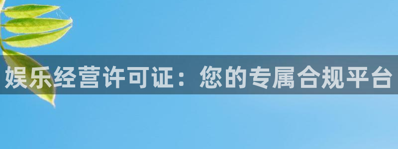 门徒娱乐ccm赏金女王：娱乐经营许可证：您的专属合规平台