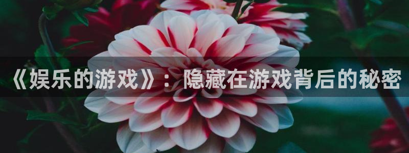 门徒娱乐注册链接入口：《娱乐的游戏》：隐藏在游戏背后的秘密