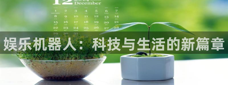 门徒娱乐官网：娱乐机器人：科技与生活的新篇章