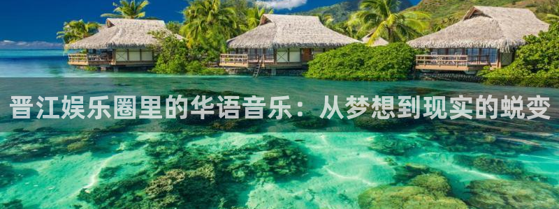 门徒娱乐app：晋江娱乐圈里的华语音乐：从梦想到现实的蜕变