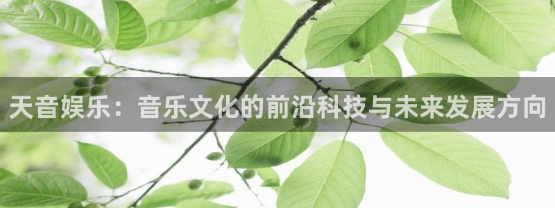 门徒平台招商：天音娱乐：音乐文化的前沿科技与未来发展方向