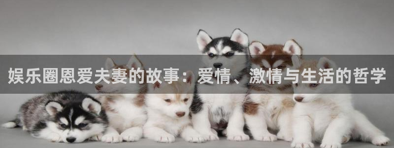 门徒娱乐app下载地址：娱乐圈恩爱夫妻的故事：爱情、激情与生活的哲学